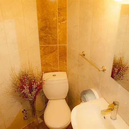 Hotel Ash 2*